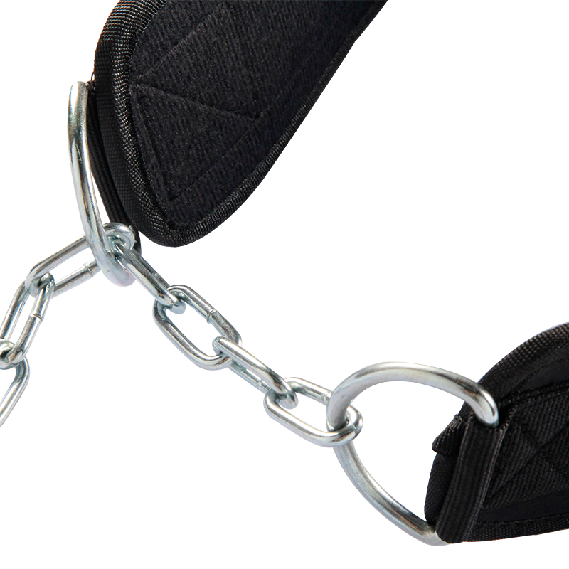 Protectors compatible with Twist Belt Chain Pouch – Havre de Luxe