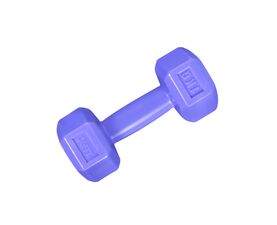 Πλαστικοποιημένο Dumbbell 1kg Purple (X-FIT)