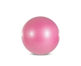 Exercise Ball 55cm (X-FIT)