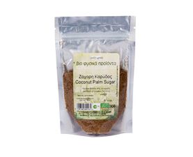 Coconut Sugar 100g Bio