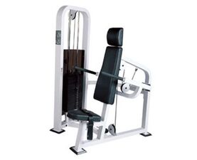 Lux-30 Tricep Dip (X-FIT)