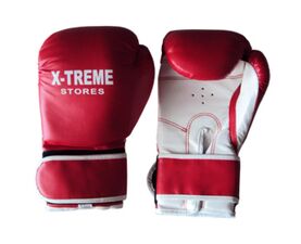 Boxing Gloves PU (76201) (X-Treme Stores)