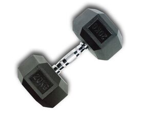 Hex Rubber Dumbbell 20kg (28205) (X-FIT)