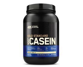 100% Casein Gold Standard 924g (Optimum Nutrition)