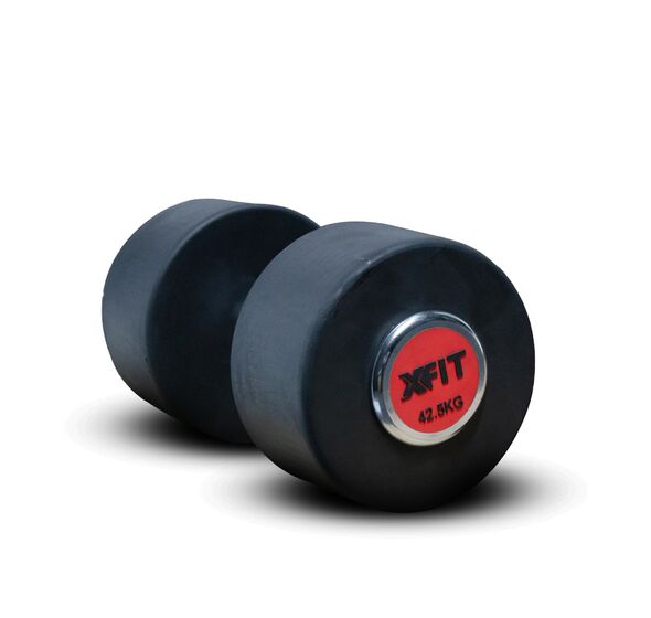 Dumbbell Professional 42,5 KG (X-FIT)