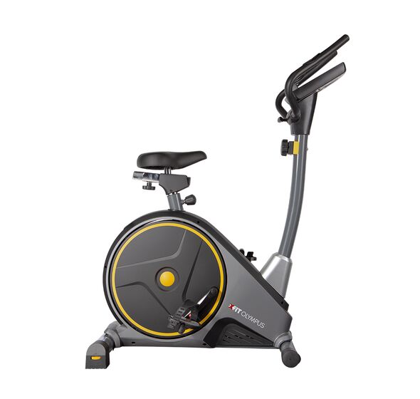 Spin Bike SRX 45 S (Toorx)