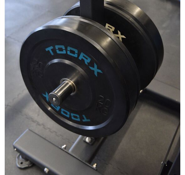 Leg Curl FWX-5000 (Toorx)