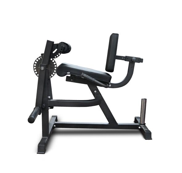 Leg Extension and Curl Machine (X-FIT)